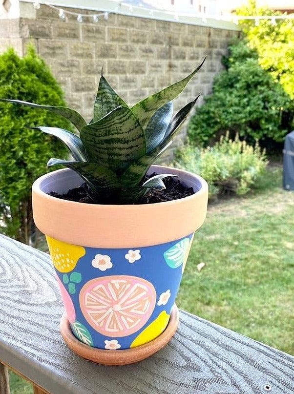 My “Citrus Fruits" hand painted terracotta planter embodies pastel funk in the form of fruits. This is my best selling planter!