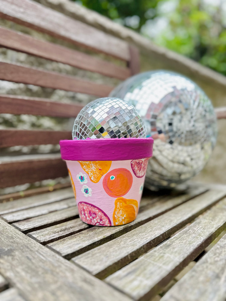Pink Citrus Fruits Planter