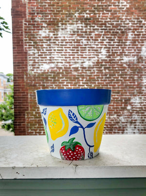 My “Primary Fruits" hand painted terracotta planter pairs all of my favorite primary colors into one bold planter.