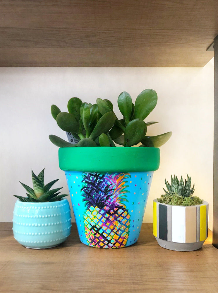 My "Pineapple" hand painted terracotta planter is a symbol of welcome for your home. It's made to bring warmth, friendship and hospitality into your space.